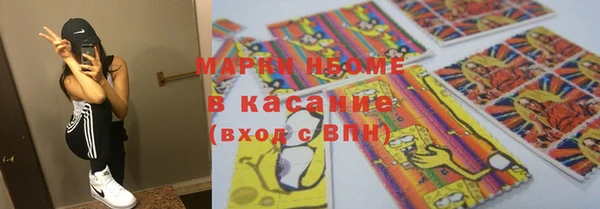 стаф Алзамай