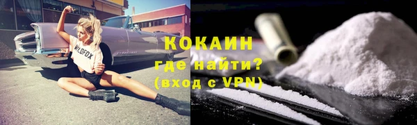 стаф Абинск