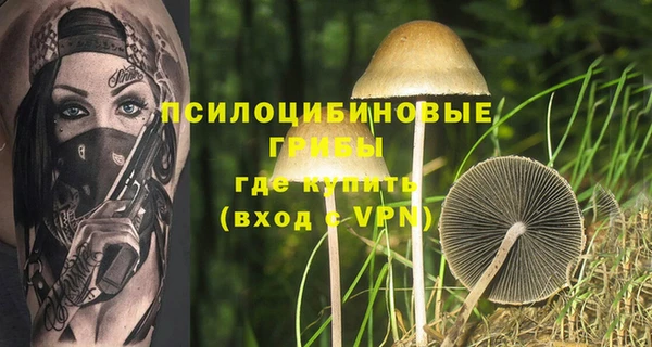 стаф Алзамай