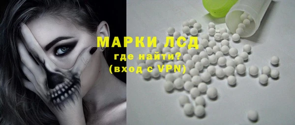 стаф Алзамай
