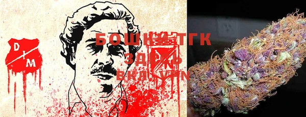 стаф Абинск