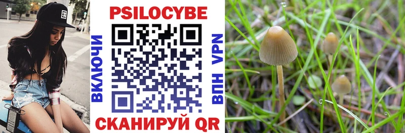 Галлюциногенные грибы MAGIC MUSHROOMS  где продают наркотики  Батайск 