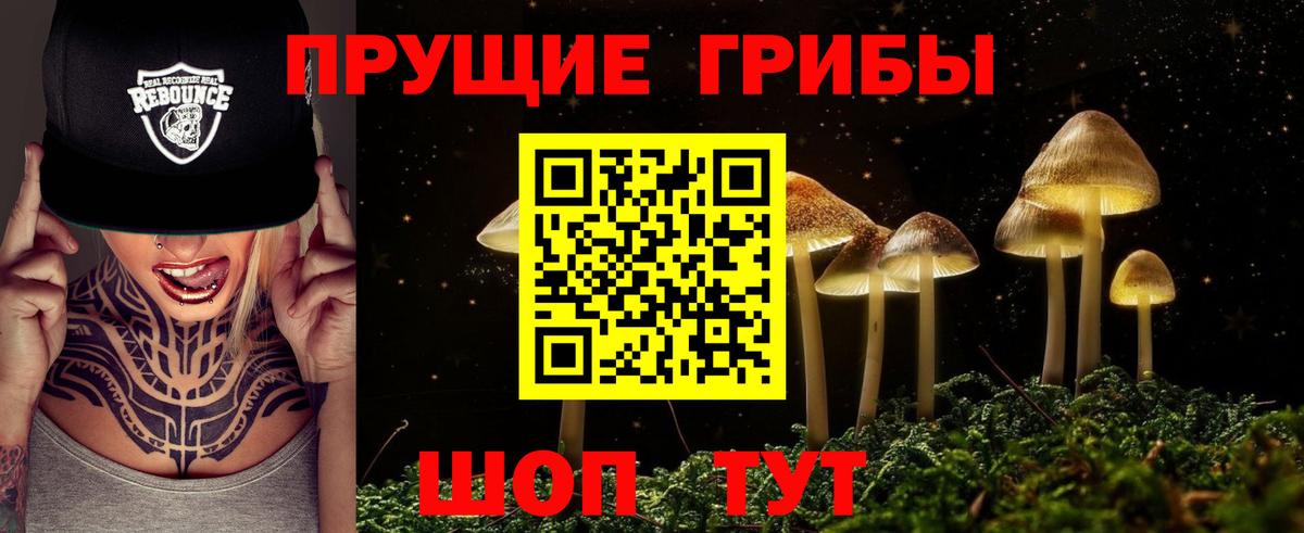 Галлюциногенные грибы Psilocybe  хочу наркоту  Батайск  Псилоцибиновые грибы GOLDEN TEACHER  Вход с VPN 